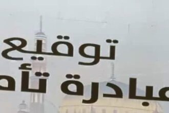Mohamed Farid