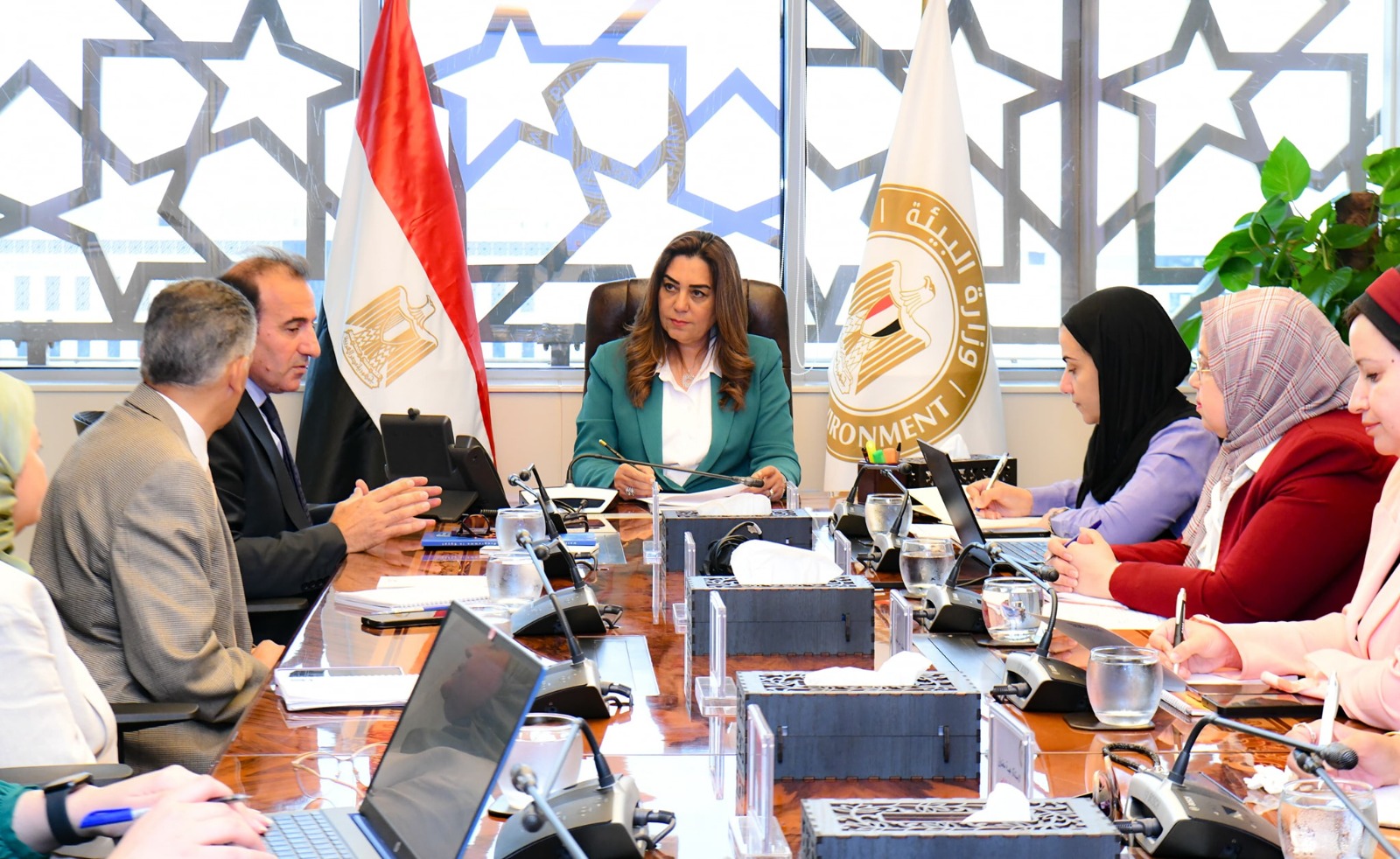 Egypt, UNDP discuss outcomes of joint projects, future environmental cooperation