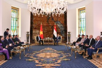 Egypt, Vietnam upgrade ties to comprehensive partnership
