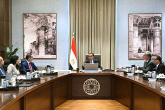 PM reviews plan to unlock full potential of Egypt’s kaolin sand resources