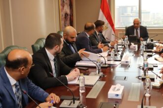 Egypt, Russia discuss localising electrical systems, equipment manufacturing