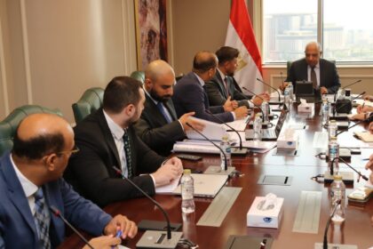 Egypt, Russia discuss localising electrical systems, equipment manufacturing
