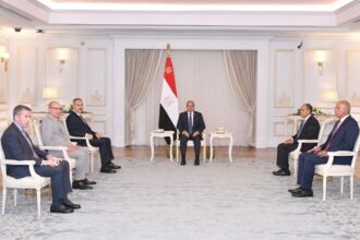 Al-Sisi, Türkiye’s FM discuss boosting ties, regional issues
