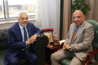 Egypt launches 2 separate energy storage plants with 1,500 MWh capacity in Aswan, Red Sea