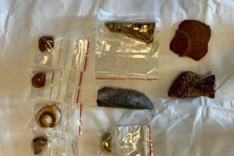 Egypt recovers collection of ancient artefacts from Netherlands