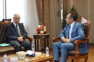 Egypt finalises preparations to produce new passenger car models amid growing Japanese cooperation