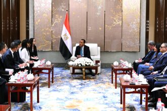 Egypt's PM meets with Chinese firms to discuss energy, water desalination projects