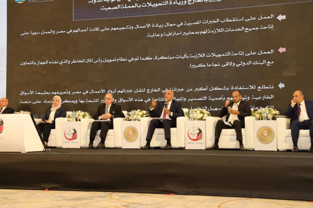 MSMEDA offers exceptional opportunities to encourage Egyptian expats to invest at home: CEO