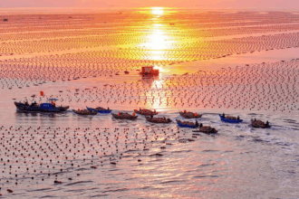 China speeds up drive to build ecological economic system- report