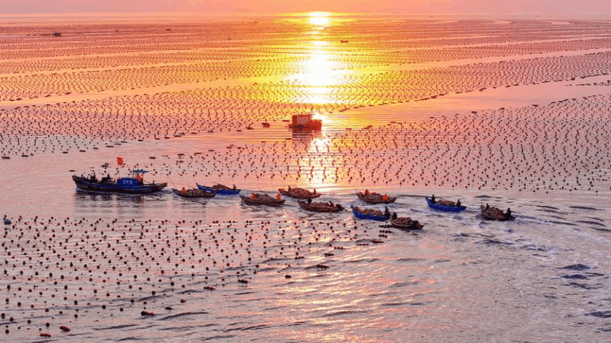 China speeds up drive to build ecological economic system- report
