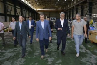 Egypt advances national industry, attract global investment: Minister
