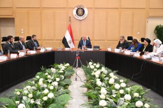 Egypt adds automotive feeder, non-local industries to list of 28 promising sectors