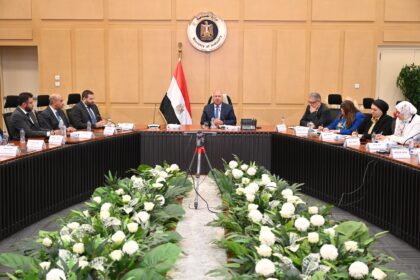 Egypt adds automotive feeder, non-local industries to list of 28 promising sectors