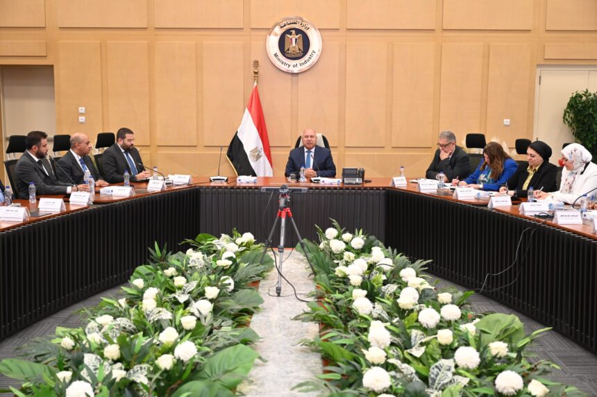 Egypt adds automotive feeder, non-local industries to list of 28 promising sectors