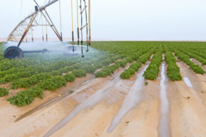 Egypt targets EGP 144.8bn investment in agriculture, irrigation