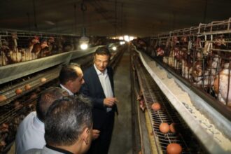 Egypt's agriculture sector offers promising investment, minister says on farm tour