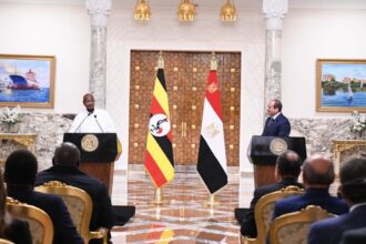 Al-Sisi says any party thinking Egypt will neglect water rights is 'completely mistaken'