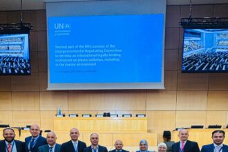 Egypt joins Geneva negotiations on Global Plastics Treaty, calls for urgent agreement