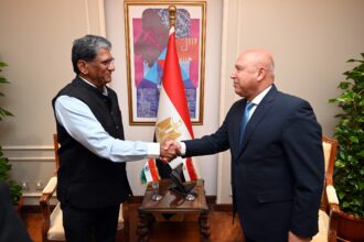 Egypt, India explore future cooperation in industry, transport
