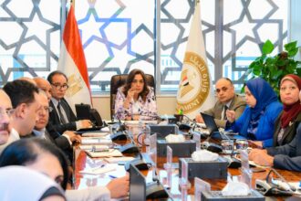 Egypt intensifies climate action ahead of COP30 in Brazil