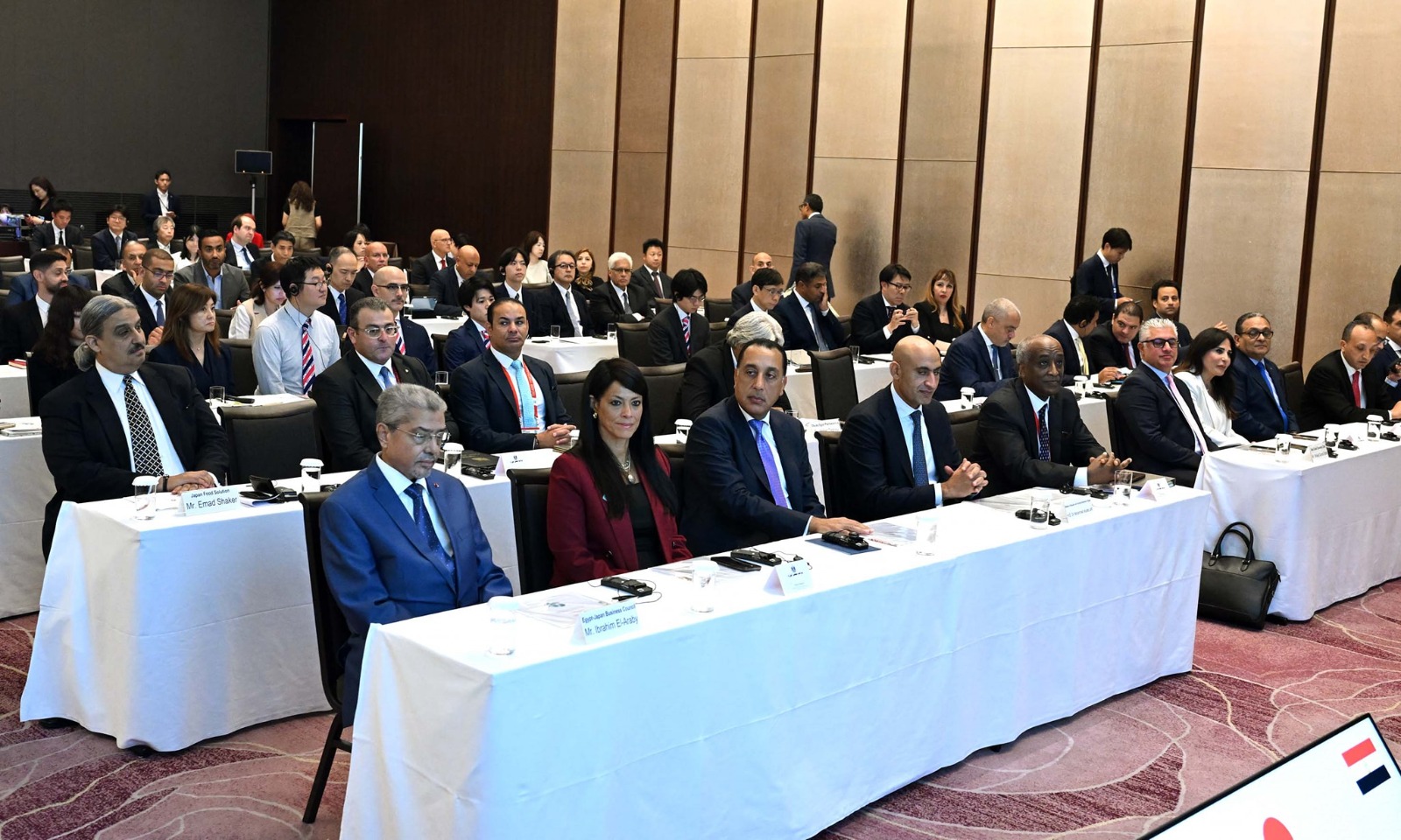 Egypt holds special importance for our investments across diverse sectors: Japanese minister