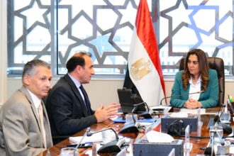 Egypt, UNDP discuss outcomes of joint projects, future environmental cooperation