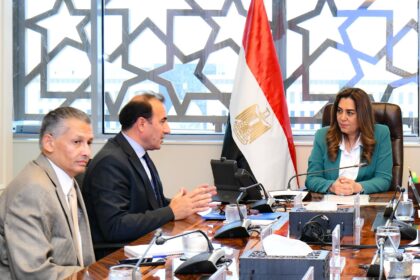 Egypt, UNDP discuss outcomes of joint projects, future environmental cooperation