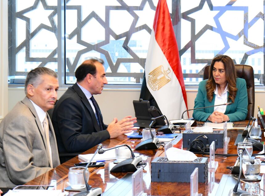 Egypt, UNDP discuss outcomes of joint projects, future environmental cooperation