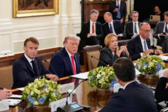 Egypt welcomes international efforts for peace in Ukraine