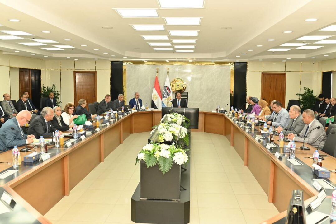 State-owned Holdipharma targets EGP 18bn in revenues for FY2025/2026