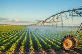 African agribusiness market expected to reach $1tr by 2030