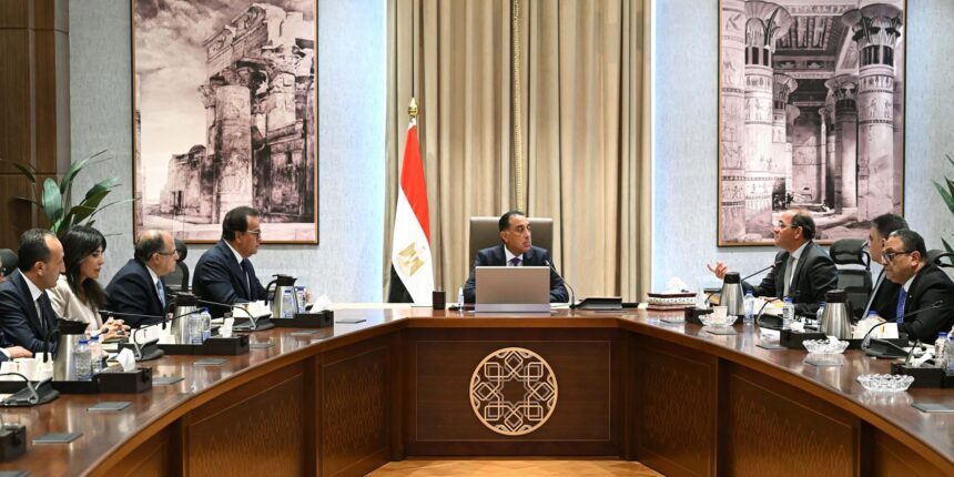 Egypt's PM reviews efforts to support local pharmaceutical industry