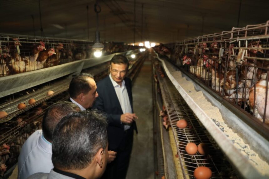Egypt's agriculture sector offers promising investment, minister says on farm tour