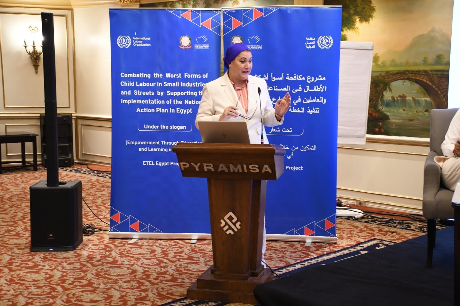 National Council for Childhood reviews plan to combat child labour - Dailynewsegypt