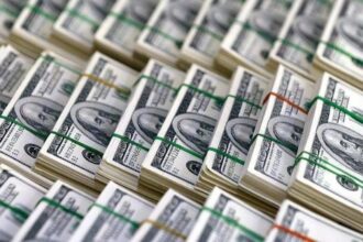 Egypt’s net international reserves hit record $49.04bn in July: CBE