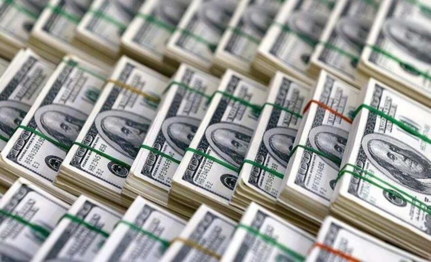 Egypt’s net international reserves hit record $49.04bn in July: CBE