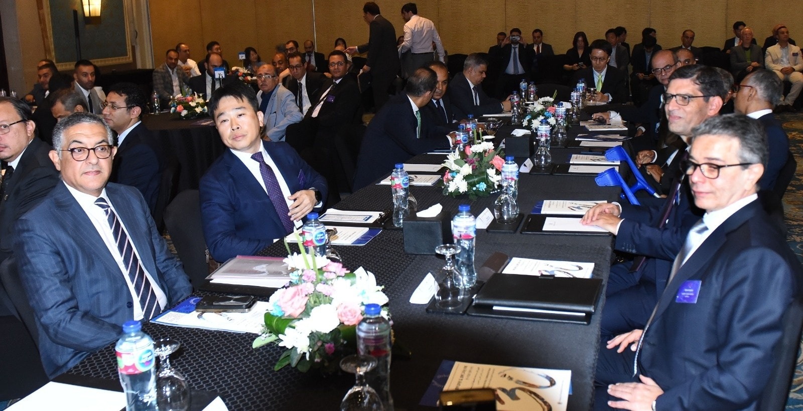Egypt welcomes global investors as business reforms bear fruit: GAFI chief