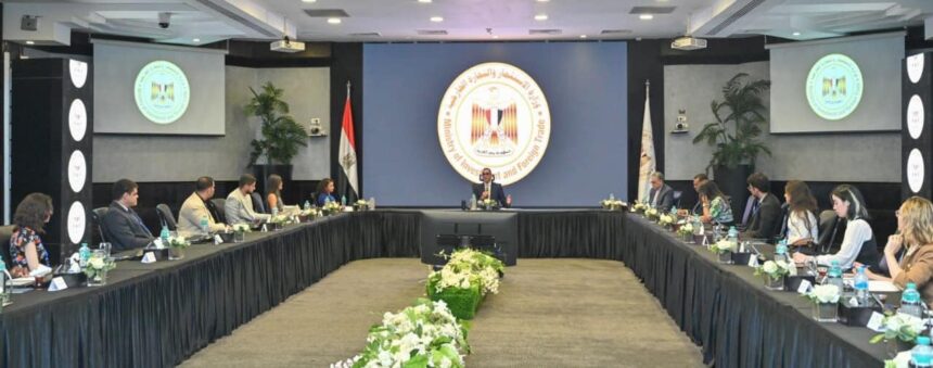Egypt accelerates investment reforms to boost competitiveness: Minister