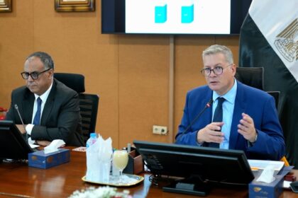Egypt's Petroleum Sector balanced power supply, energy needs in challenging year: Minister