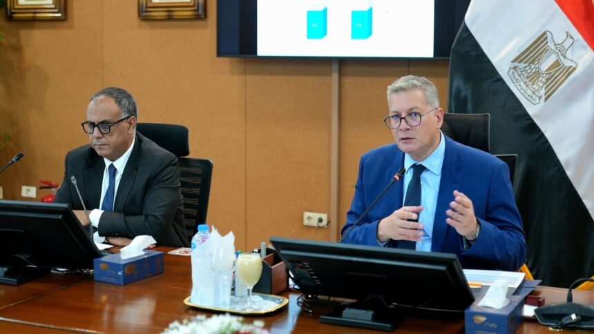 Egypt's Petroleum Sector balanced power supply, energy needs in challenging year: Minister