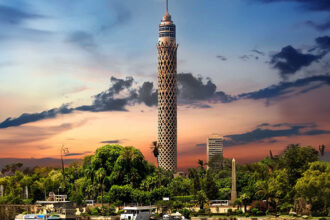Egypt's startups attract $2.2bn, new guide for entrepreneurs planned