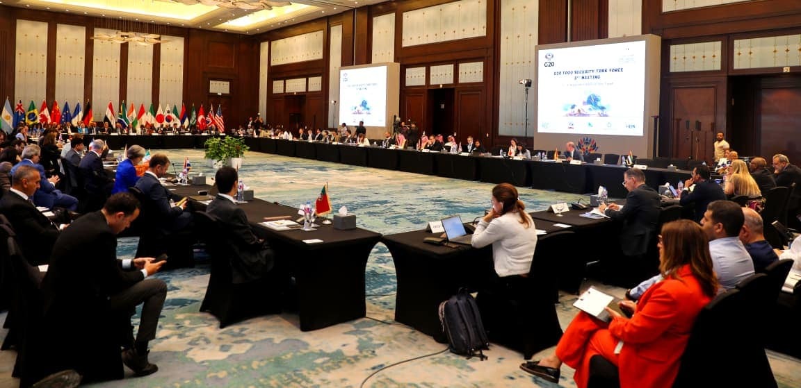 Egypt outlines priorities for achieving food security at G20 meeting in Cairo