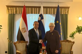 Egyptian FM holds high-level talks in Slovenia, urges EU pressure on Israel