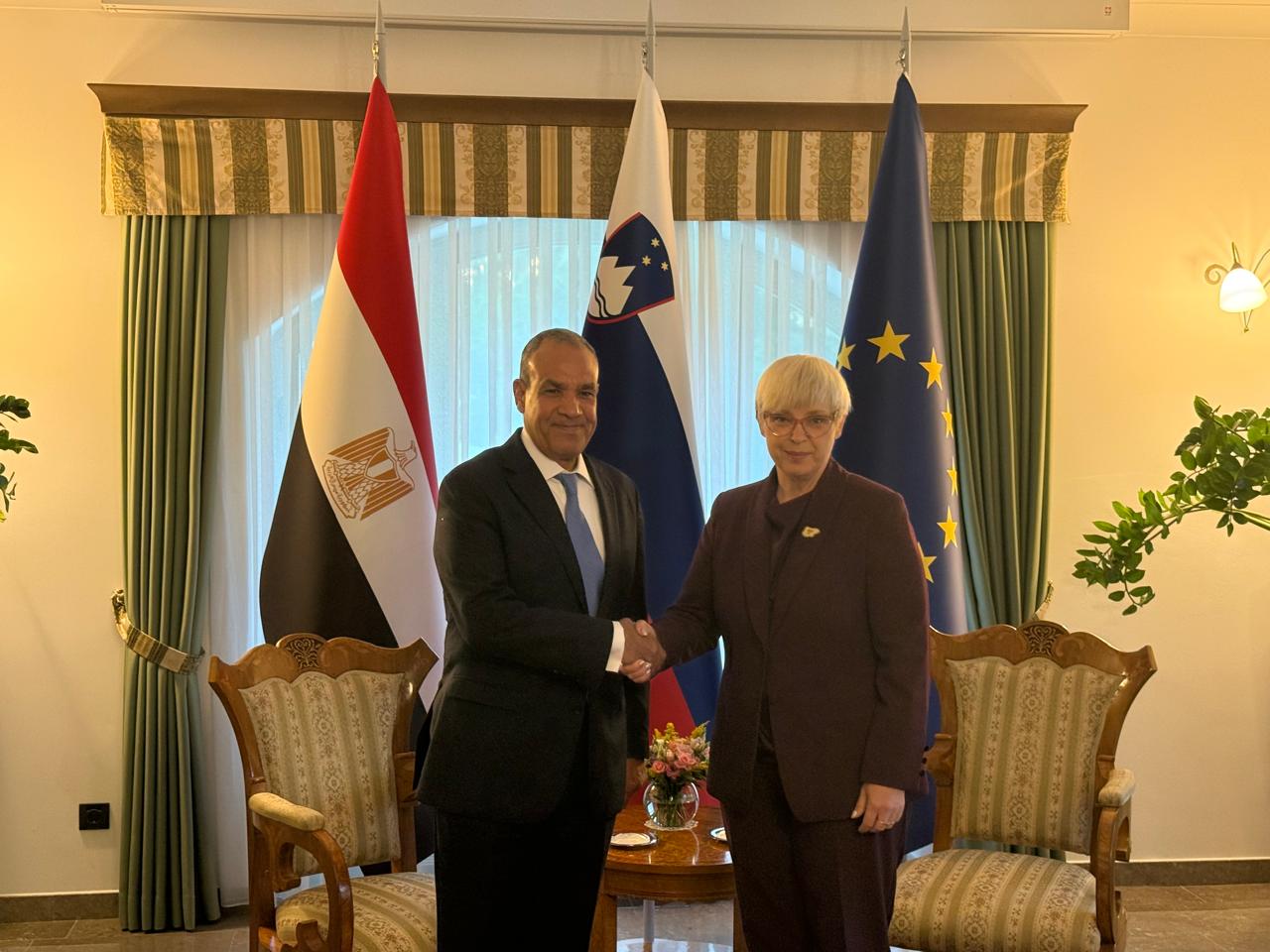 Egyptian FM holds high-level talks in Slovenia, urges EU pressure on Israel