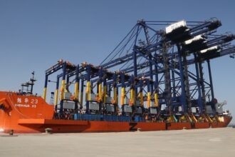 Hutchison Terminal in Sokhna receives giant ZHEN HUA 23 vessel with final crane deliveries: Al-Wazir