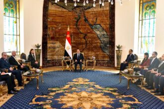 Egypt's Al-Sisi meets Tunisian PM ahead of joint higher committee session