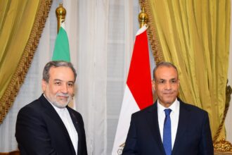 Egypt's FM meets Iranian counterpart in Cairo for nuclear, regional talks