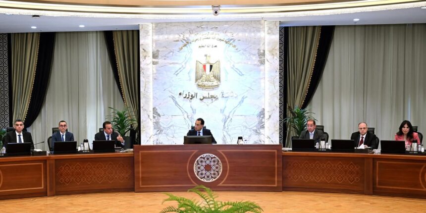 Madbouly reviews strategy to localize pharmaceutical industry, ensure drug supply