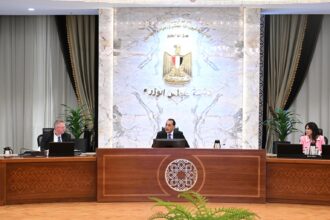 Egypt's PM, Russian deputy PM discuss industrial zone, Dabaa nuclear plant
