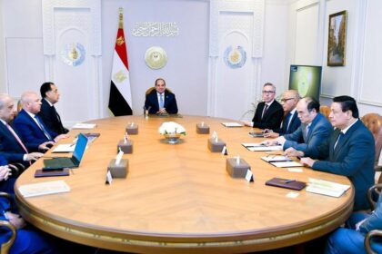 Al-Sisi discusses renewable energy investments with Norway’s Scatec, China’s Sungrow